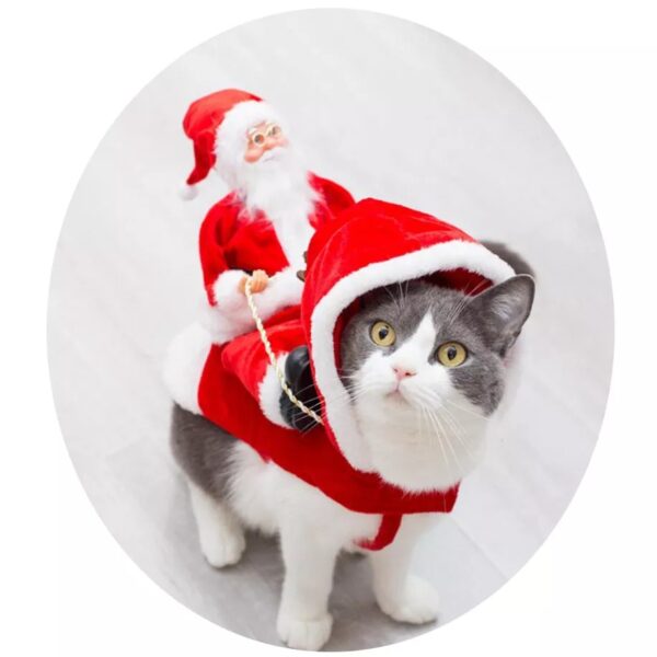 Santa Claus Pet Custom - Image 3