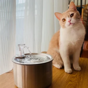 Stainless Steel Automatic Cats Healthy Water Fountain