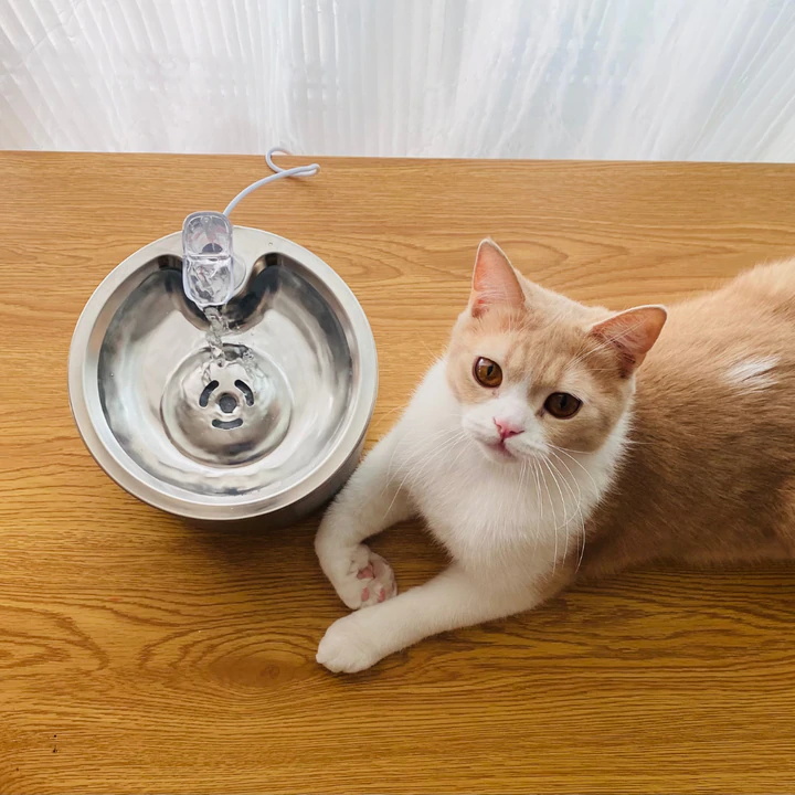 Stainless Steel Automatic Cats Healthy Water Fountain - Image 9