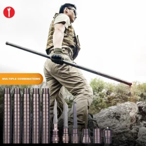 The Multifunctional Walking Stick