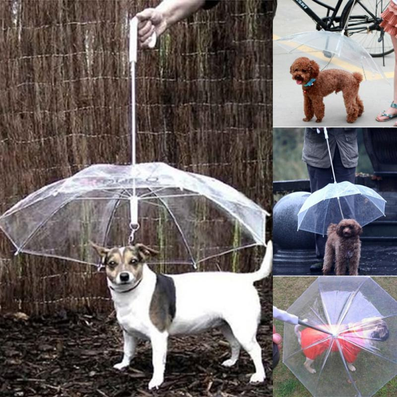 Transparent Dog Umbrella