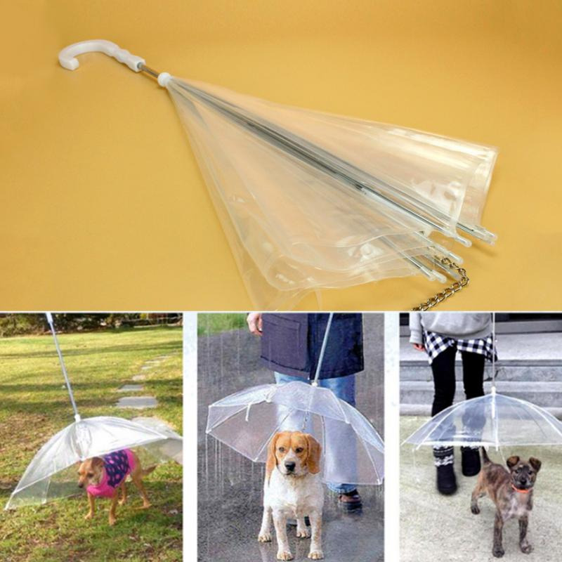 Transparent Dog Umbrella - Image 2