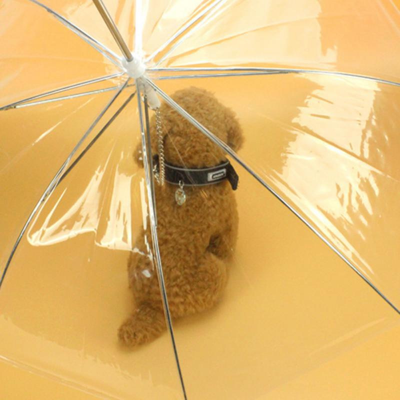 Transparent Dog Umbrella - Image 4