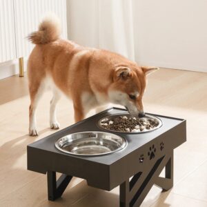 Adjustable Elevated Dog Feeder