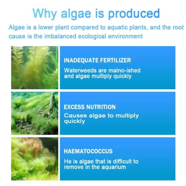 Algae Repellent Agent - Image 7