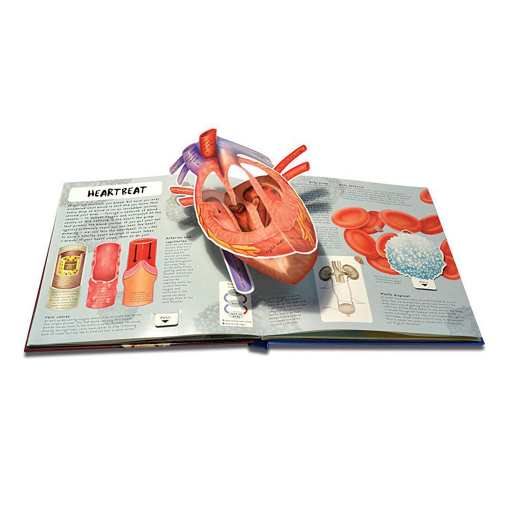 Anatomy of The Human Body 3D Picture Book - Image 3