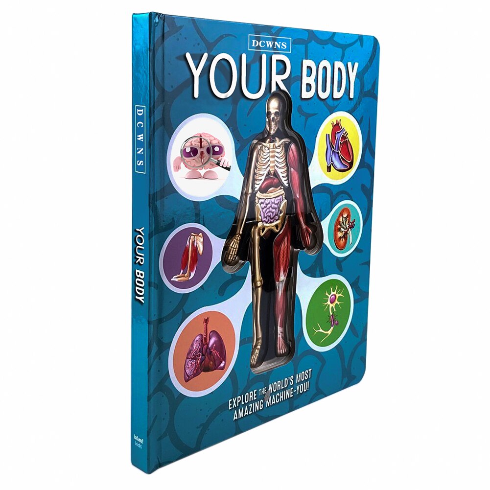 Anatomy of The Human Body 3D Picture Book - Image 5