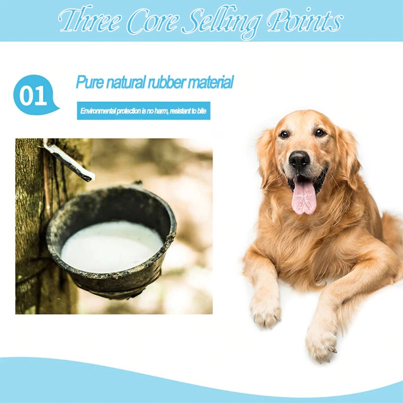 Cactus Dog Toothbrush - Image 3