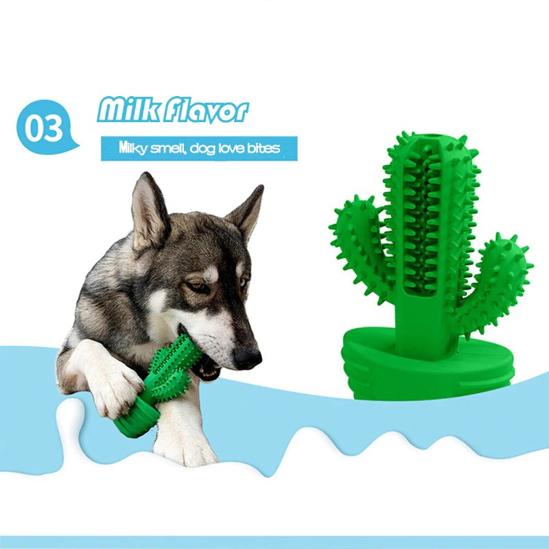 Cactus Dog Toothbrush - Image 4