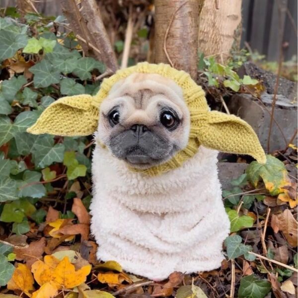 Cozy Critter Knit Dog Hoods - Image 9