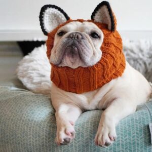 Cozy Critter Knit Dog Hoods