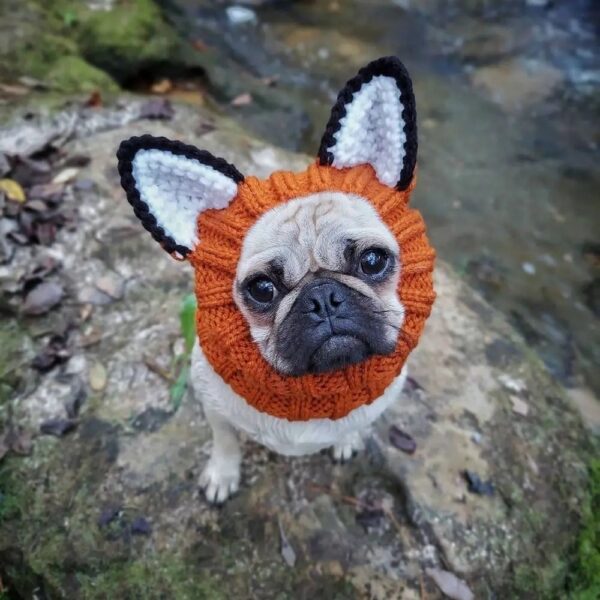 Cozy Critter Knit Dog Hoods - Image 7
