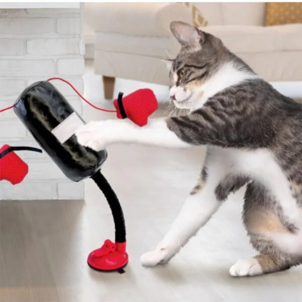 Interactive Cat Punching Bag Toy - Image 2