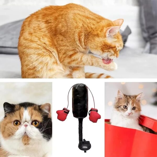 Interactive Cat Punching Bag Toy - Image 4
