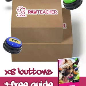 Interactive Dog Personalized Sound Buttons