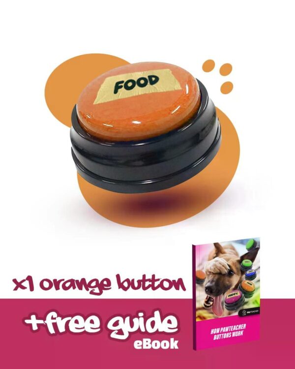 Interactive Dog Personalized Sound Buttons - Image 2