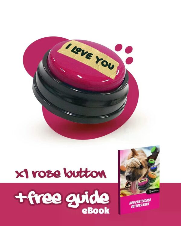 Interactive Dog Personalized Sound Buttons - Image 4