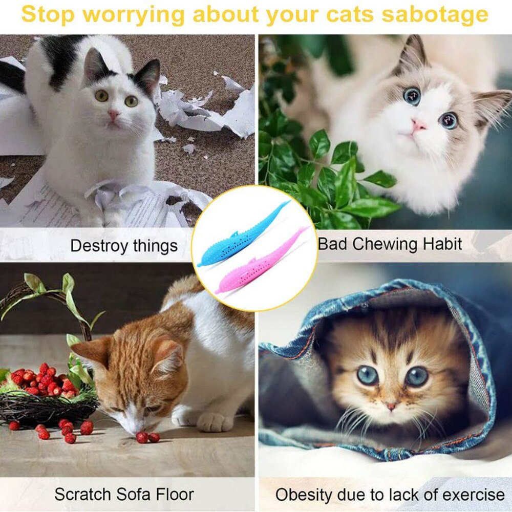 Kitty Toothbrush PRO - Image 5