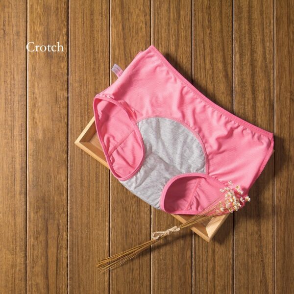Leakproof Panties - 6PCS - Image 5
