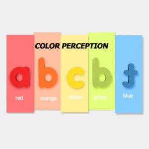 Letter Recognition Spelling Game