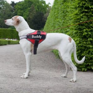 NO PULL Reflective Breathable Adjustable Dog Harness