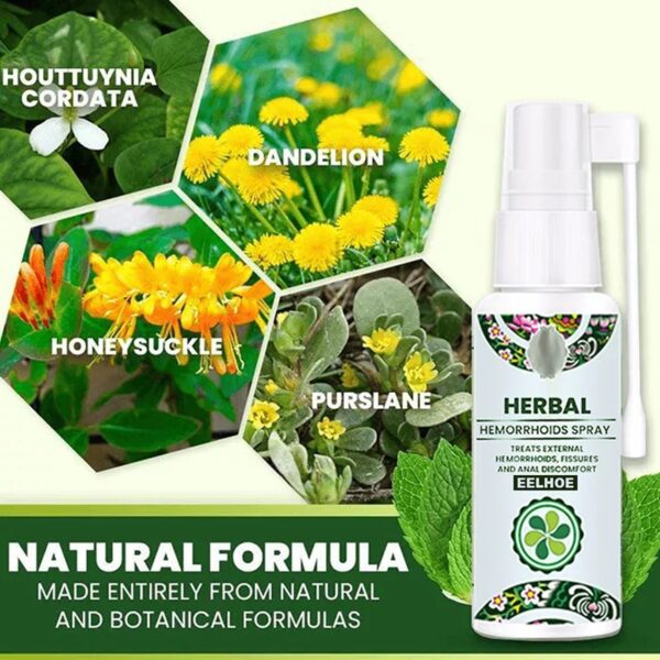 Natural Herbal Hemorrhoids Spray - Image 3