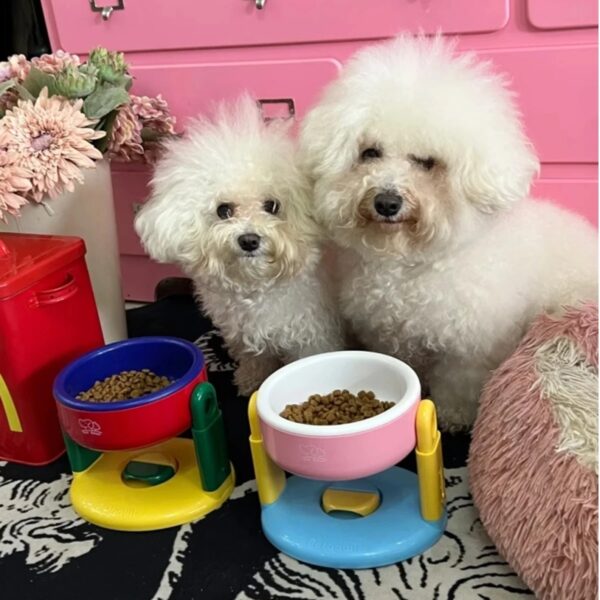 PawsUp Adjustable Pet Feeding Bowl - Image 2