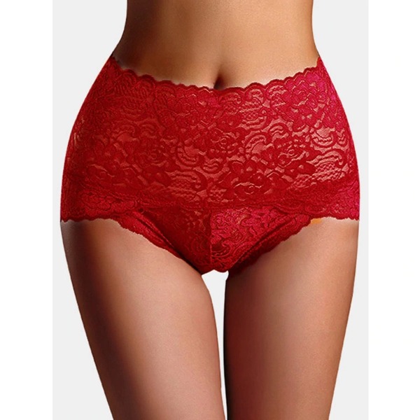 Seamless Lace Ladies Brief - Image 3