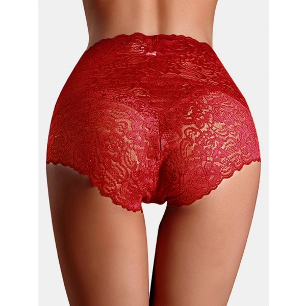 Seamless Lace Ladies Brief - Image 5