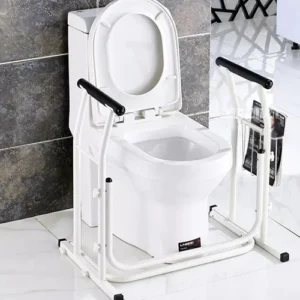 Stand Alone Toilet Rail