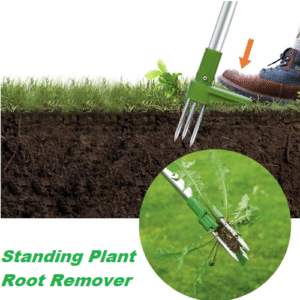 Standing Plant Root Remover