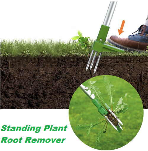 Standing Plant Root Remover