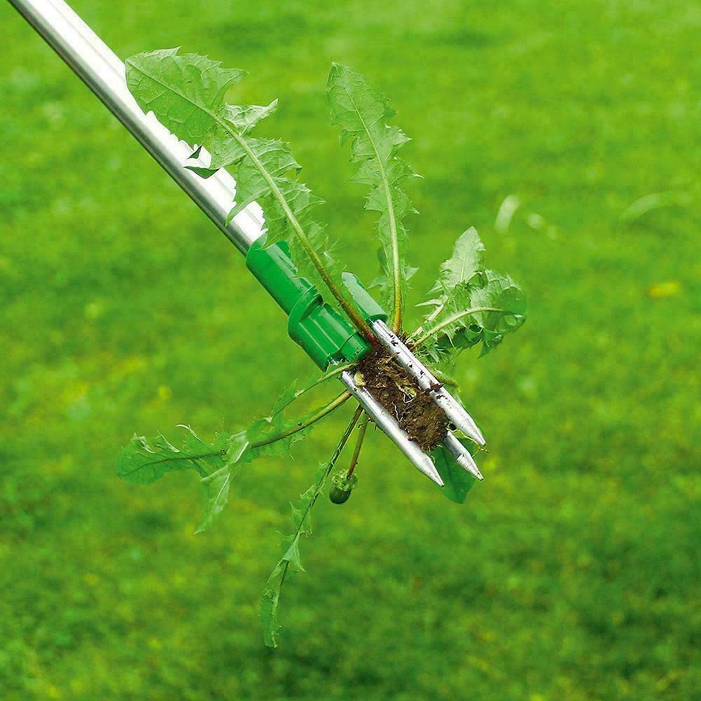 Standing Plant Root Remover - Image 3