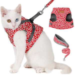 Cat Vest Harness and Leash Set to Outdoor Walking