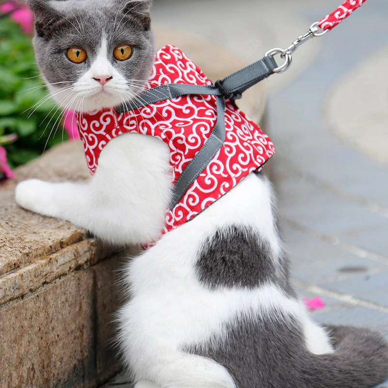 Cat Vest Harness and Leash Set to Outdoor Walking - Image 5