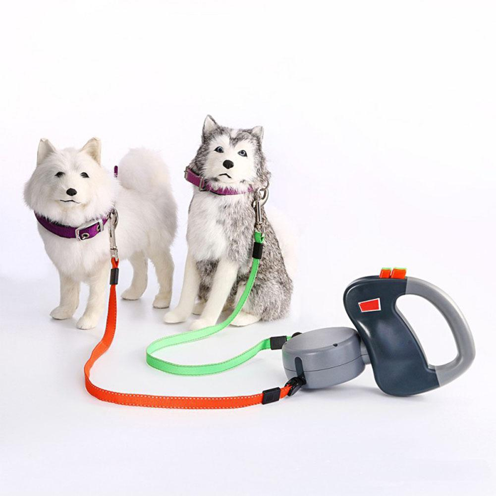 Dog Leash For Two - Image 2