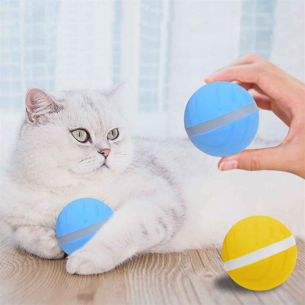 Motion Ball For Pets