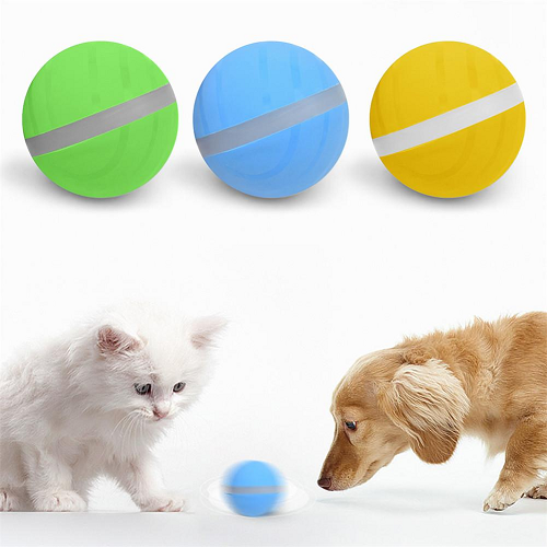 Motion Ball For Pets - Image 2