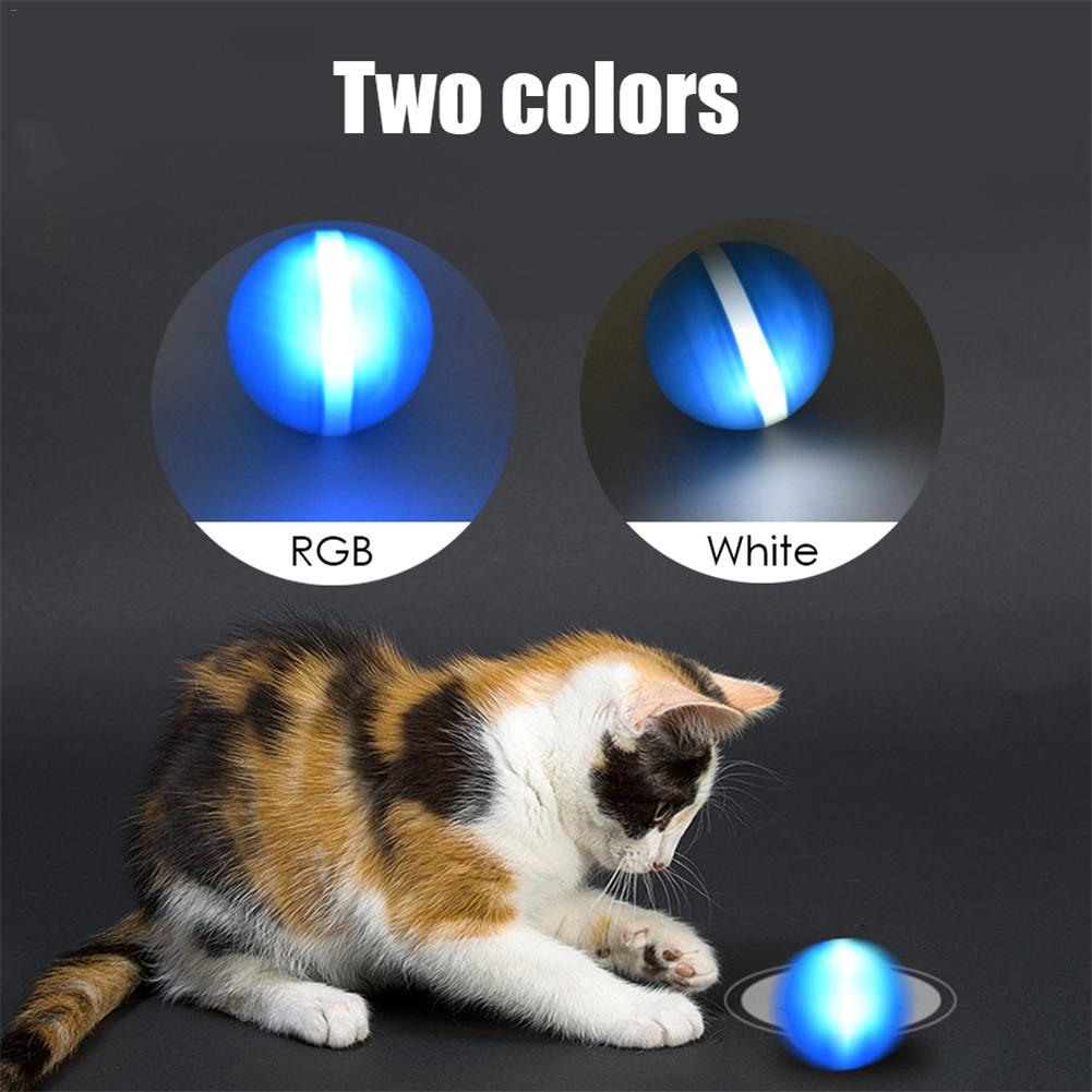 Motion Ball For Pets - Image 4