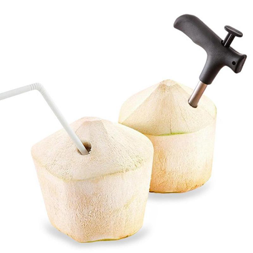 Stainless Steel Coconut Opener