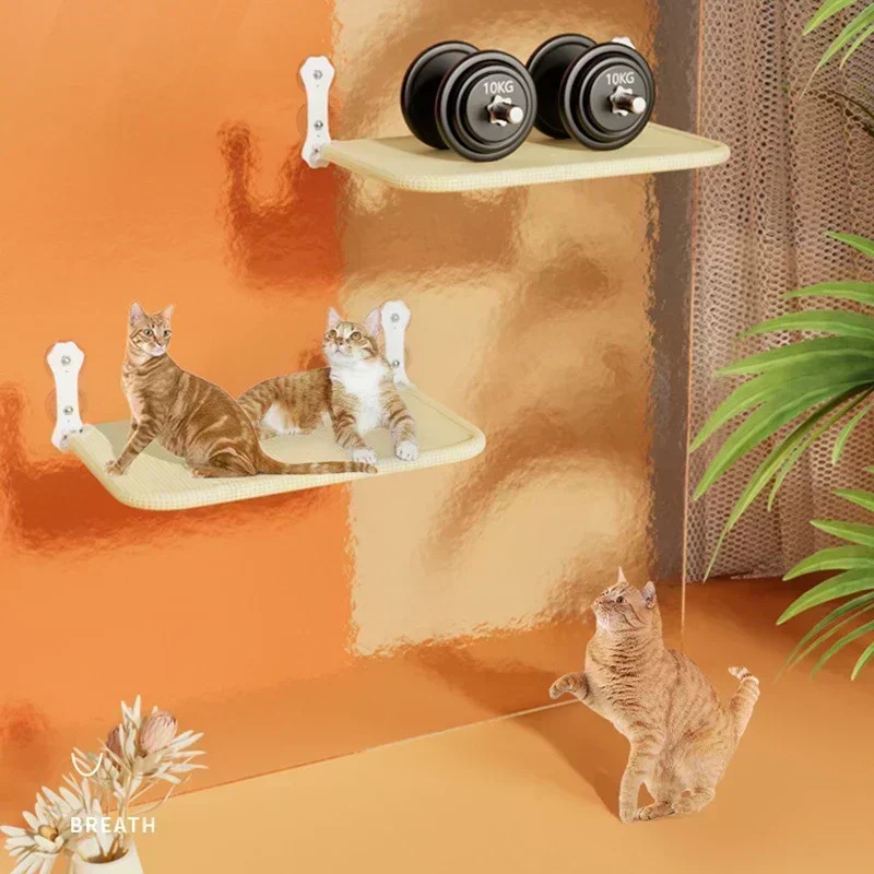 Suction Cup Cat Hammock - Image 6