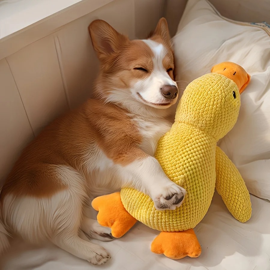 Calming Duck Dog Toy