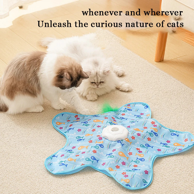 Interactive Cat Mat