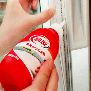 MIRACLE MOLD REMOVER GEL