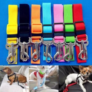 Pet Car Seat Belt