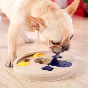 Pet Educational Interactive Feeder