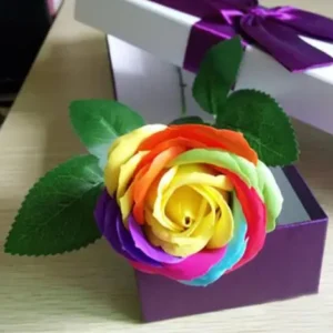 100 RARE RAINBOW ROSE FLOWER SEEDS WITH GIFT