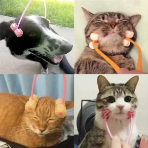 Cat Face Massager