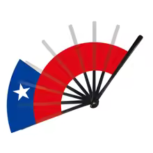 22cm Folding Hand Fan – South America & 8 Country Flags Cheering Fan - Image 8